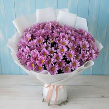 Букет цветов из:  Хризантемы #REPLACE_PRED# Ага-Батыре