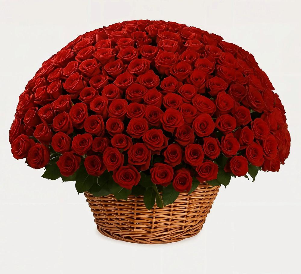 Премиум букет из: Розы в Ага-Батыре