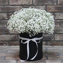 Цветочная композиция из Гипсофила в шляпной коробке в Ага-Батыре