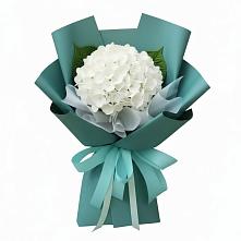 Букет цветов из:  Гортензия в Ага-Батыре